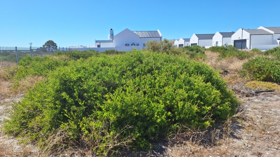 0 Bedroom Property for Sale in Atlantic Sands Private Estate Western Cape